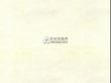 文山白玉