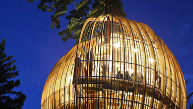 PEL事务所设计新西兰的“树屋”餐厅2