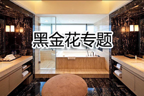 品种介绍——黑金花 