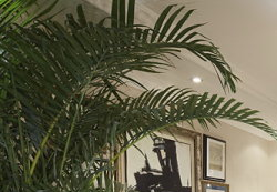 曼哈顿蓝调风格居室(组图)