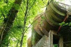 阿凡达再现 美国波特兰树林木屋(组图)