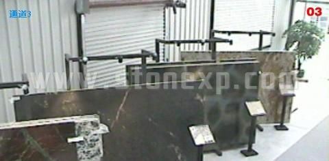 实时视频通道三