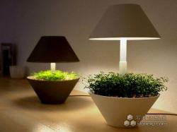 创意作品 Lightpot照明盆栽
