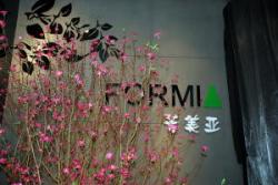 吴益锋作品——深圳市京基百纳商场丹麦FORMIA专卖店设计