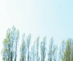 比利时公证员办公楼(组图)
