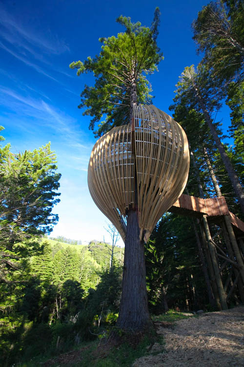 Treehouse Restaurant 6