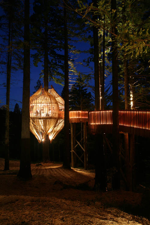 Treehouse Restaurant 8 Treehouse Restaurant by Peter Eising at New Zealand