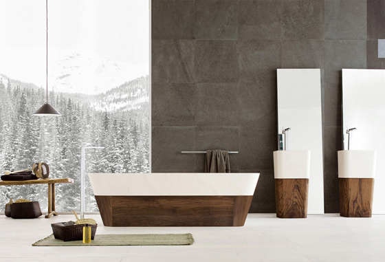 White Bathtub and Contemporary Furniture Bathrom by Neutra