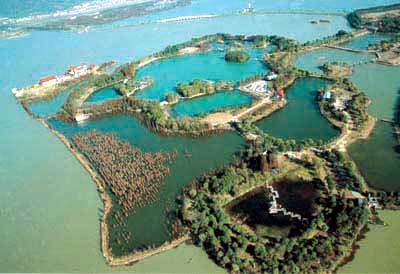 招标公告：江苏省常熟市原尚湖良种场地块方案