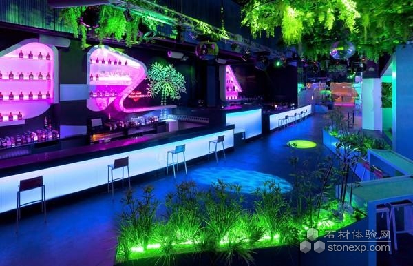 梦幻般的海底世界