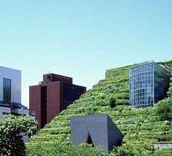 世界屋顶花园的发展简史