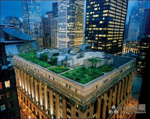 绿色屋顶  美国芝加哥市政厅