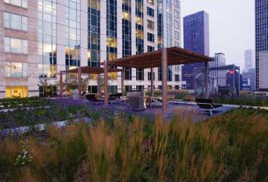 芝加哥密芝根北900大道