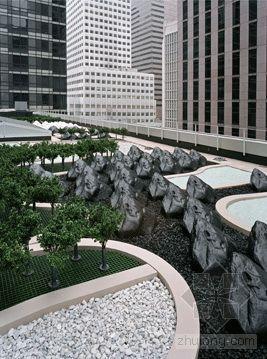 纽约现代艺术博物馆屋顶花园