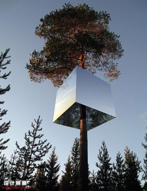 酒店设计——瑞士树上的室内设计