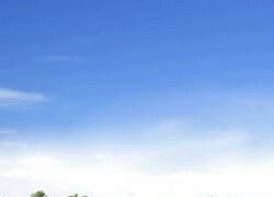 与环境融为一体 米拉住宅设计欣赏