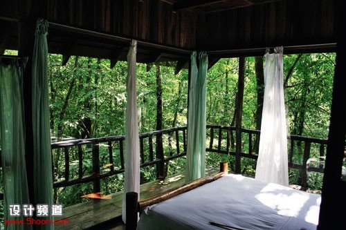 在热带雨林安享自然-Tree Houses in Costa Rica 2