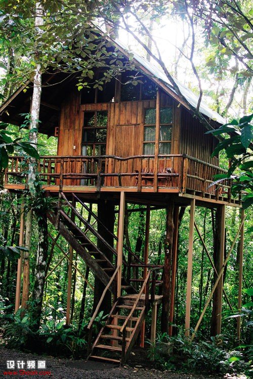 在热带雨林安享自然-Tree Houses in Costa Rica 4