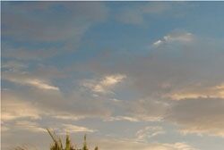 2010ASLA景观专业奖|住宅设计荣誉奖：帕达罗巷项目