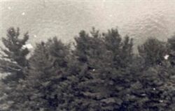 2010ASLA景观专业奖|通用设计荣誉奖：剧院疗养地