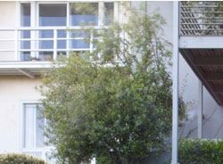 2010ASLA景观专业奖|住宅设计荣誉奖：城市游乐场