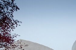 拟态（模拟）博物馆 Mimesis Museum