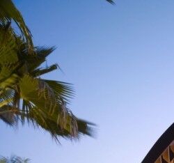 夏威夷科纳岛别墅 The Kona Residence by Belzberg Architects