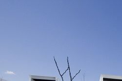 横滨湾的预制酒店 Yasutaka Yoshimura 设计