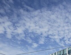 法国办公大楼 Manuelle Gautrand Architecture设计