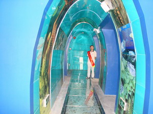 河南上空拟建“时空隧道”体验人类200万年进化历程