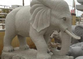 石材雕刻设计 动物系列之象