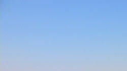 丹佛“空气森林”