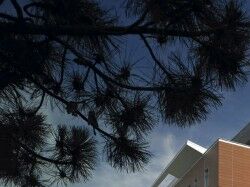 美国中密歇根大学教育与公共事业学院