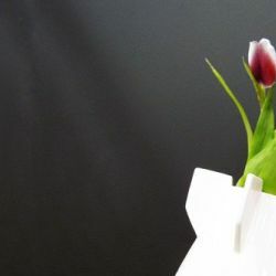 Biaugust设计的炸弹花瓶