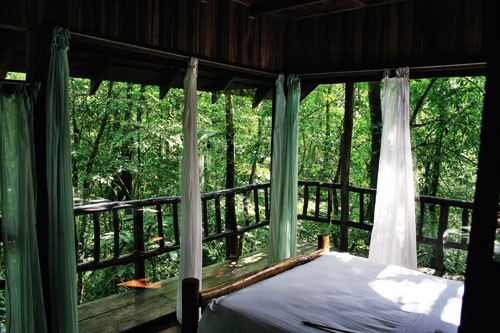 在热带雨林安享自然-Tree Houses in Costa Rica 2