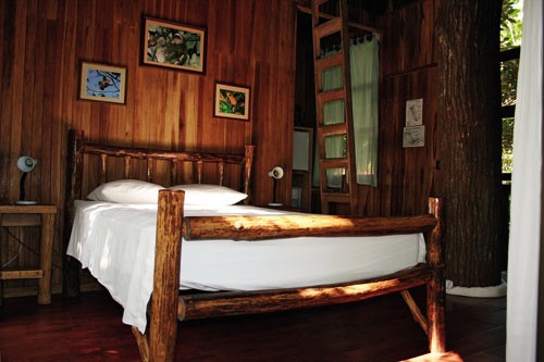 在热带雨林安享自然-Tree Houses in Costa Rica 3
