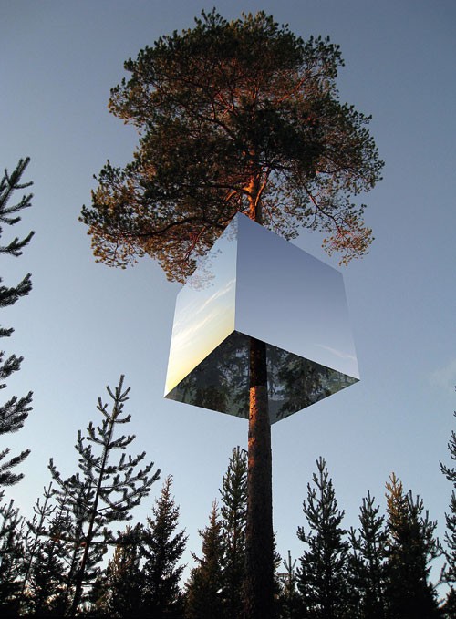 今晚，咱树上住？-Tree House in Sweden2