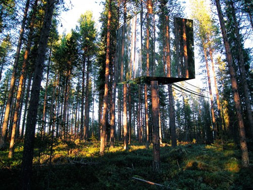 今晚，咱树上住？-Tree House in Sweden3