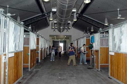 香港奥运马术比赛场3