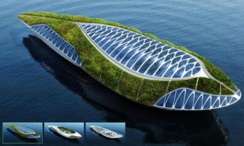 该建筑可航行至世界各地的航道并进行当地水质的净化工作