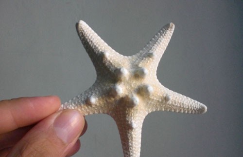 意大利特洛佩阿海星广场9