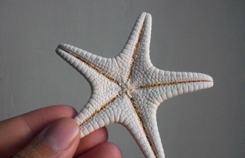 意大利特洛佩阿海星广场10