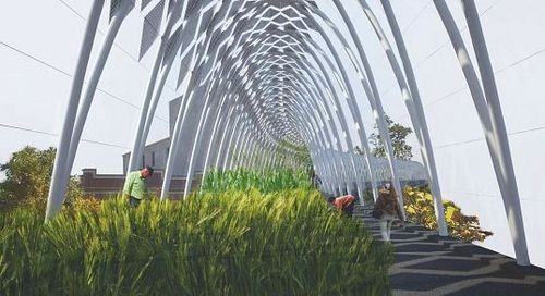 芝加哥废弃铁路将变身空中花园1