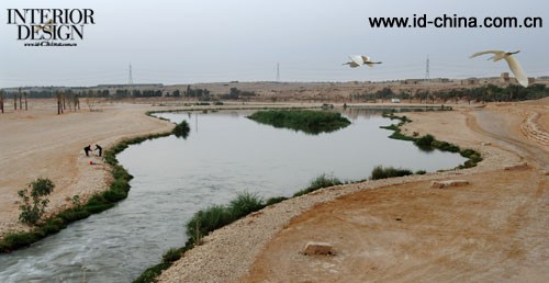 沙特阿拉伯利雅得瓦地哈尼发湿地工程3
