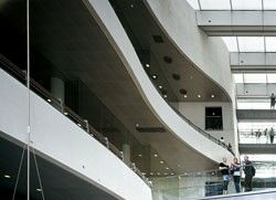 数码时代的“黑钻”-The Royal Library