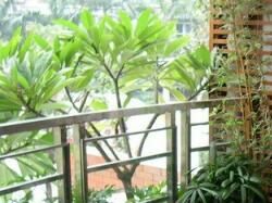 如何做好室内庭园植物景观设计