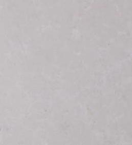 伊丽莎白