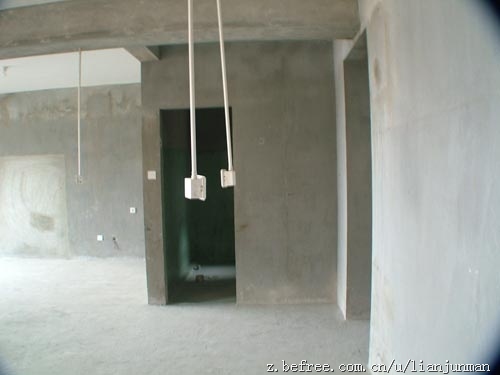 [公寓室内设计]森林恋歌（2010设计11年完工）-室内设计师连君曼