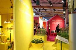 FOXMEX 2013设计盛会展览现场